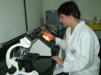 Pesquisadora atua em pesquisas nas áreas de sanidade avícola, microbiologia e mutagênese - Foto: Divulgação