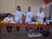 Curso teve atividades práticas em campo, simulando uma situação de foco em Peste Suína Clássica. - Foto: Fepagro Saúde Animal