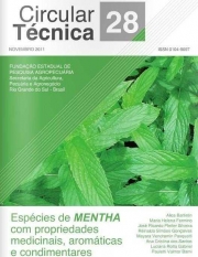 Também conhecida como hortelã, menta ou hortelã pimenta.