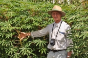 Pesquisador Zeferino Chielle junto aos cultivares da Fepagro expostos na feira