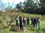 Alunos conheceram coleções de árvores frutíferas