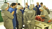 Treinamento incluiu coleta de material para diagnóstico de EEB