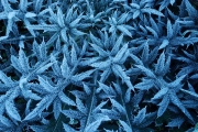 Semana será de frio intenso em todo o Rio Grande do Sul