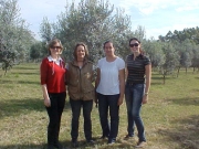 Da esquerda para direita, Dra. Bernadete Radin, Dra. Vera Wolff, MsC. Daniele Silva e Gabriela Souza, em pomar de oliveiras de Caçapava do Sul, RS